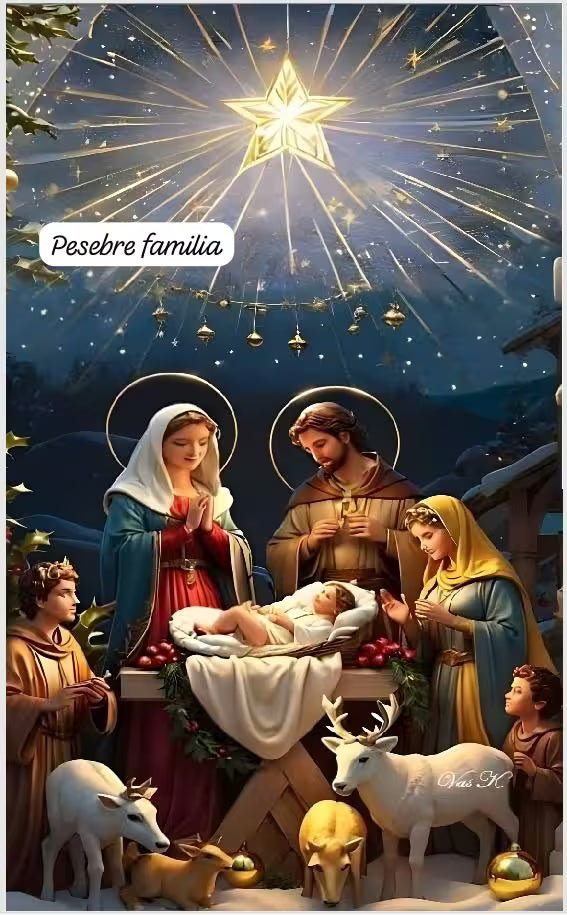Fundas Mágicas Navideñas: Ábrele la puerta al espíritu navideño a tu casa